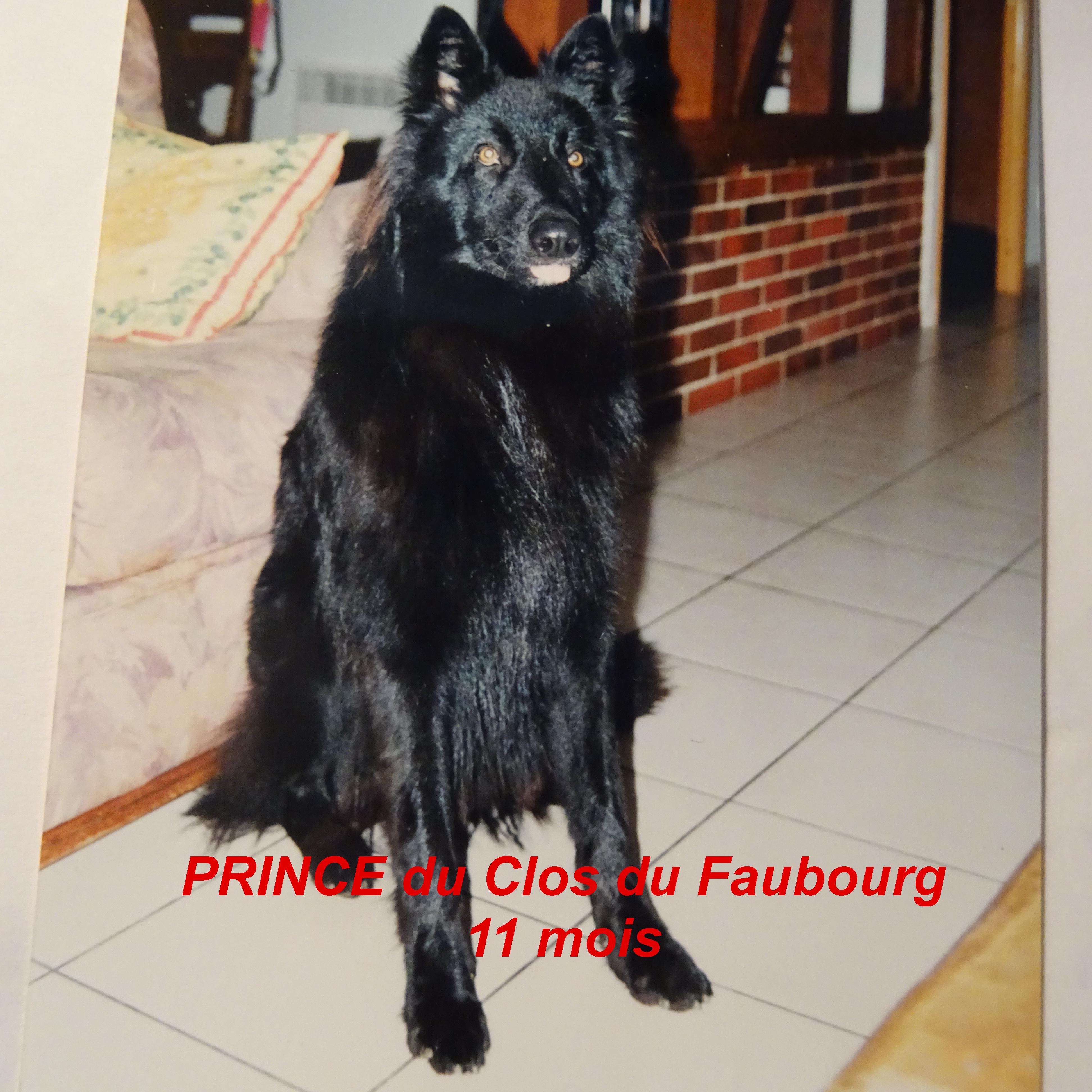 Prince (1999) Du clos du faubourg