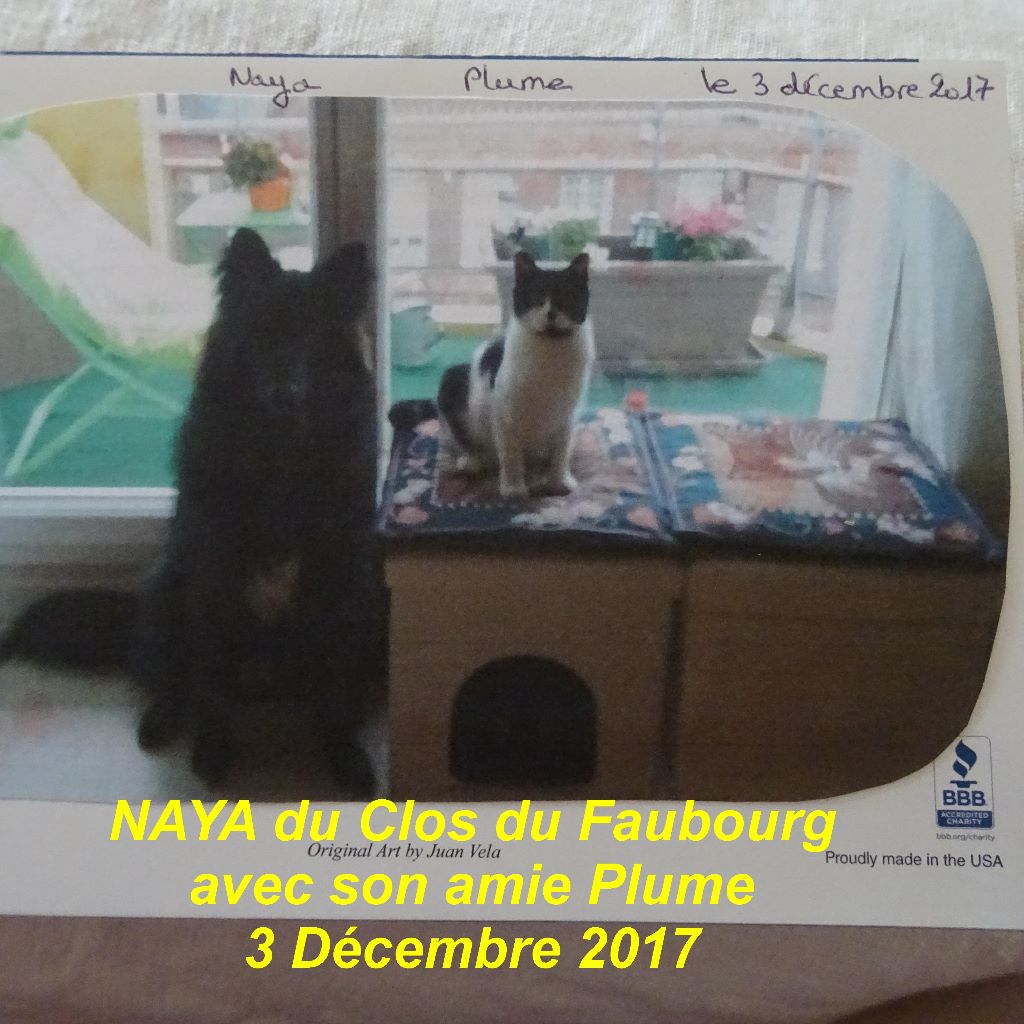 Naya Du clos du faubourg
