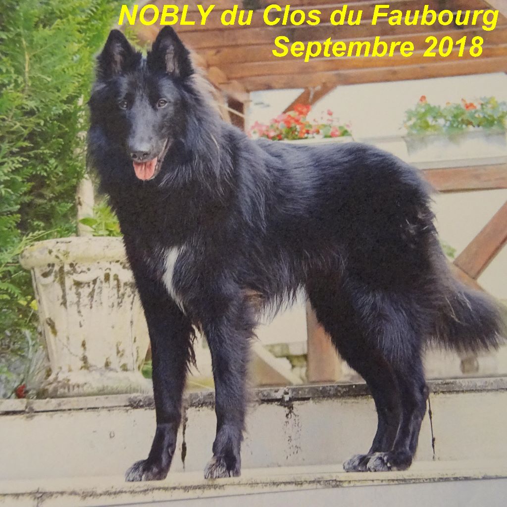 Nobly (2017) Du clos du faubourg