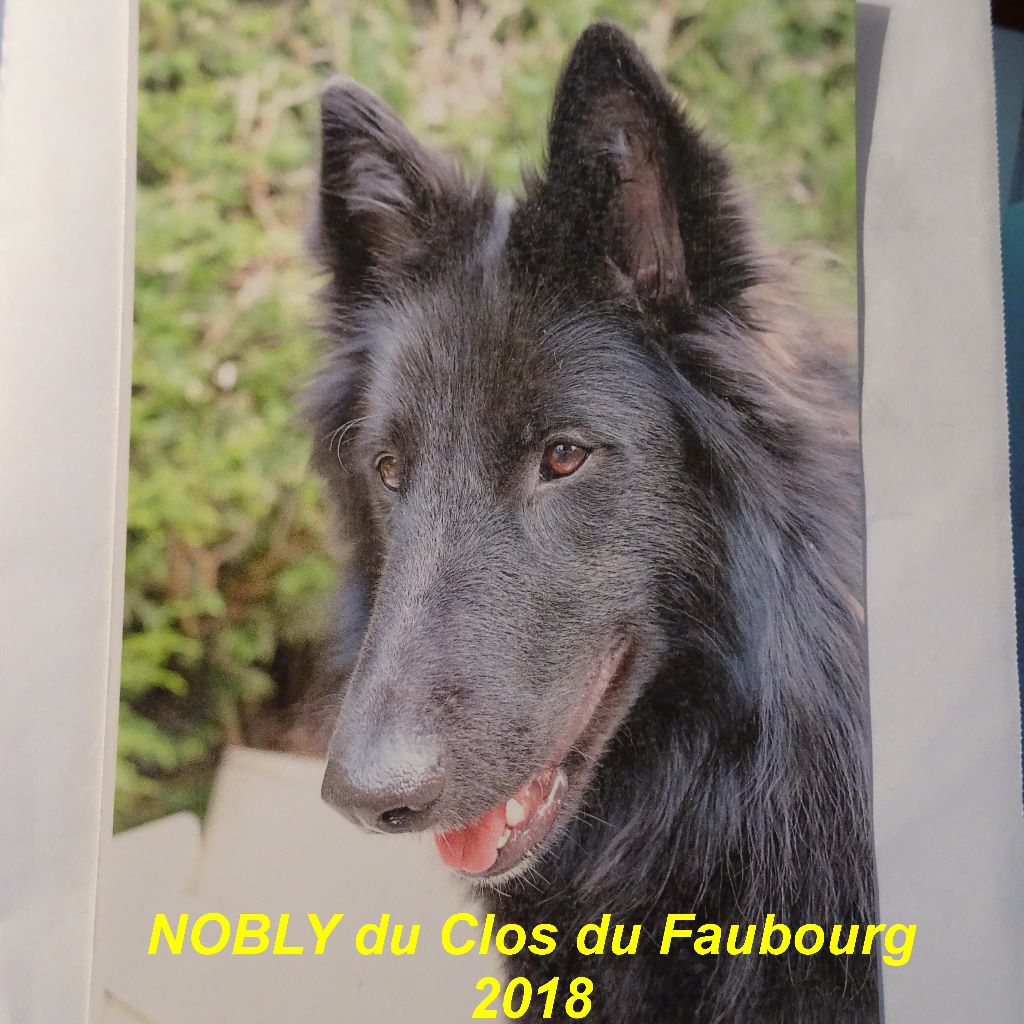 Nobly (2017) Du clos du faubourg