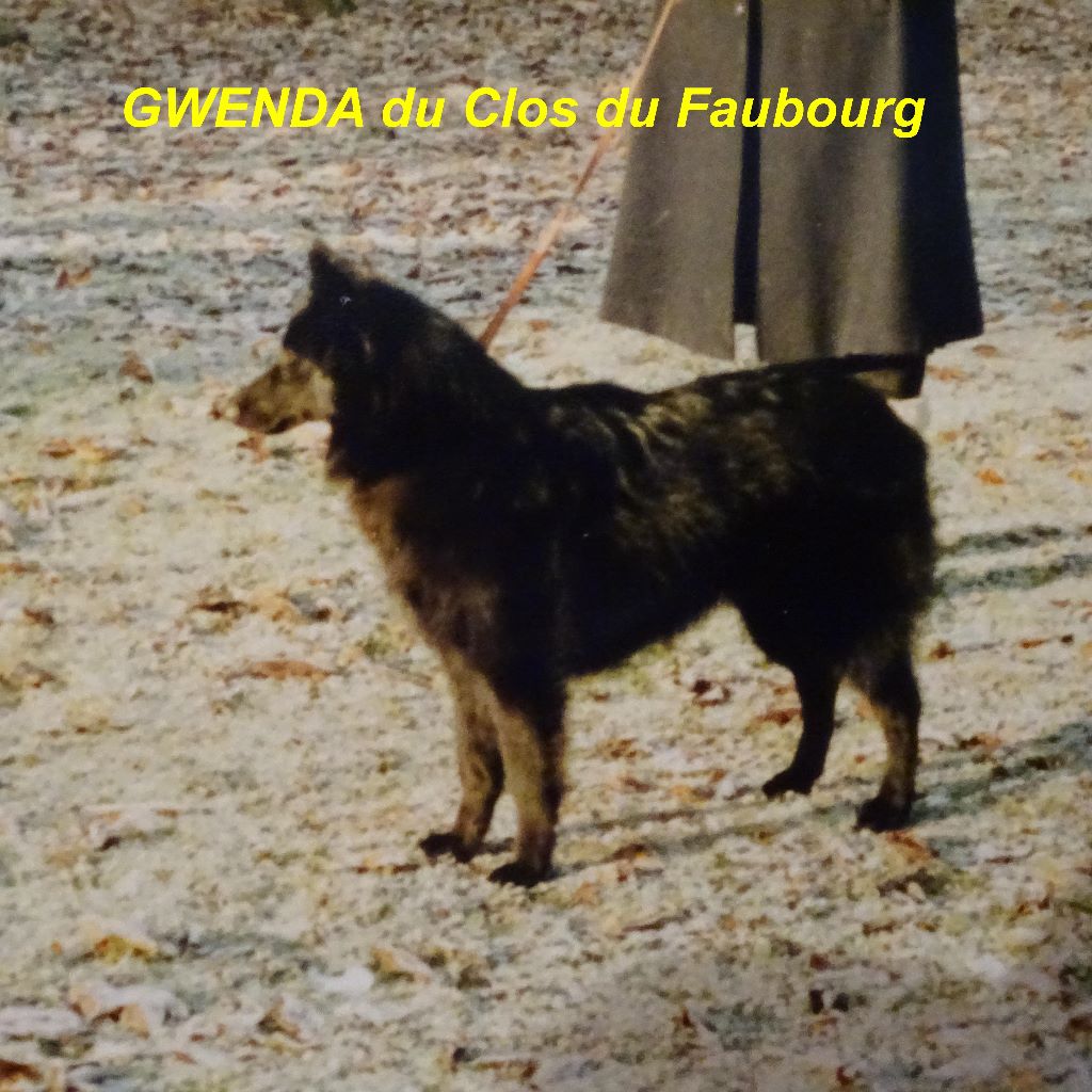 Gwenda Du clos du faubourg