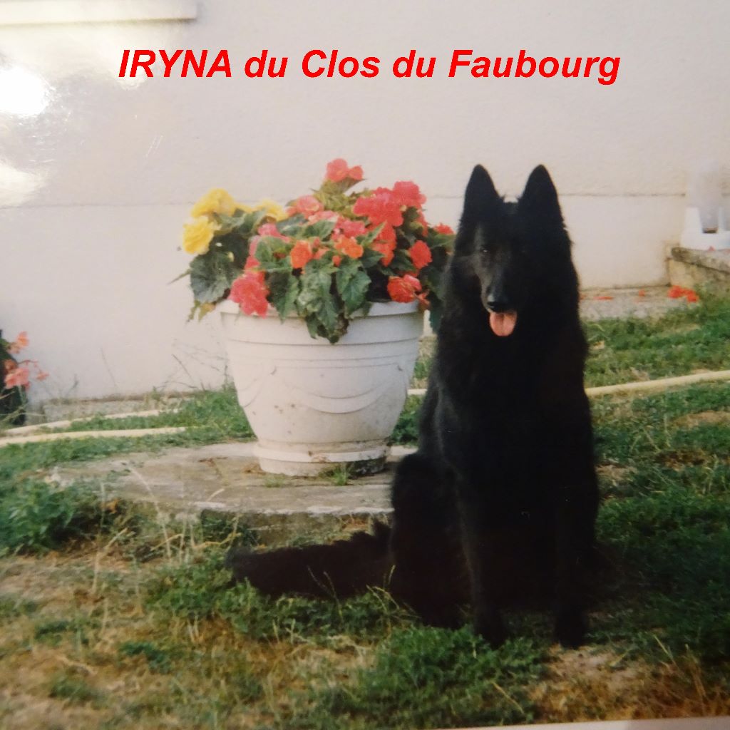 Iryna Du clos du faubourg
