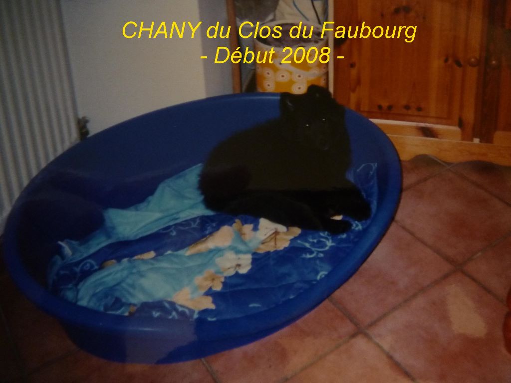 Chany Du clos du faubourg
