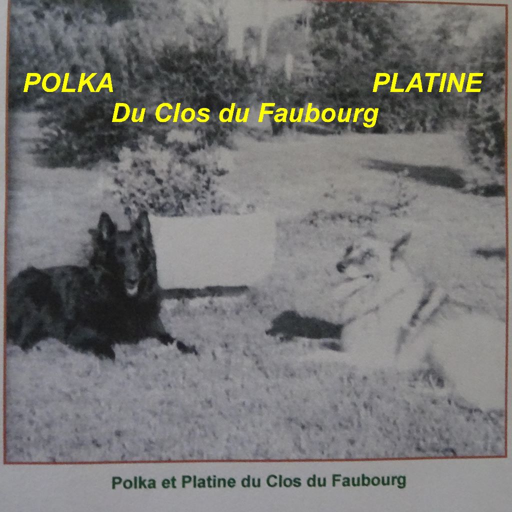 Polka Du clos du faubourg