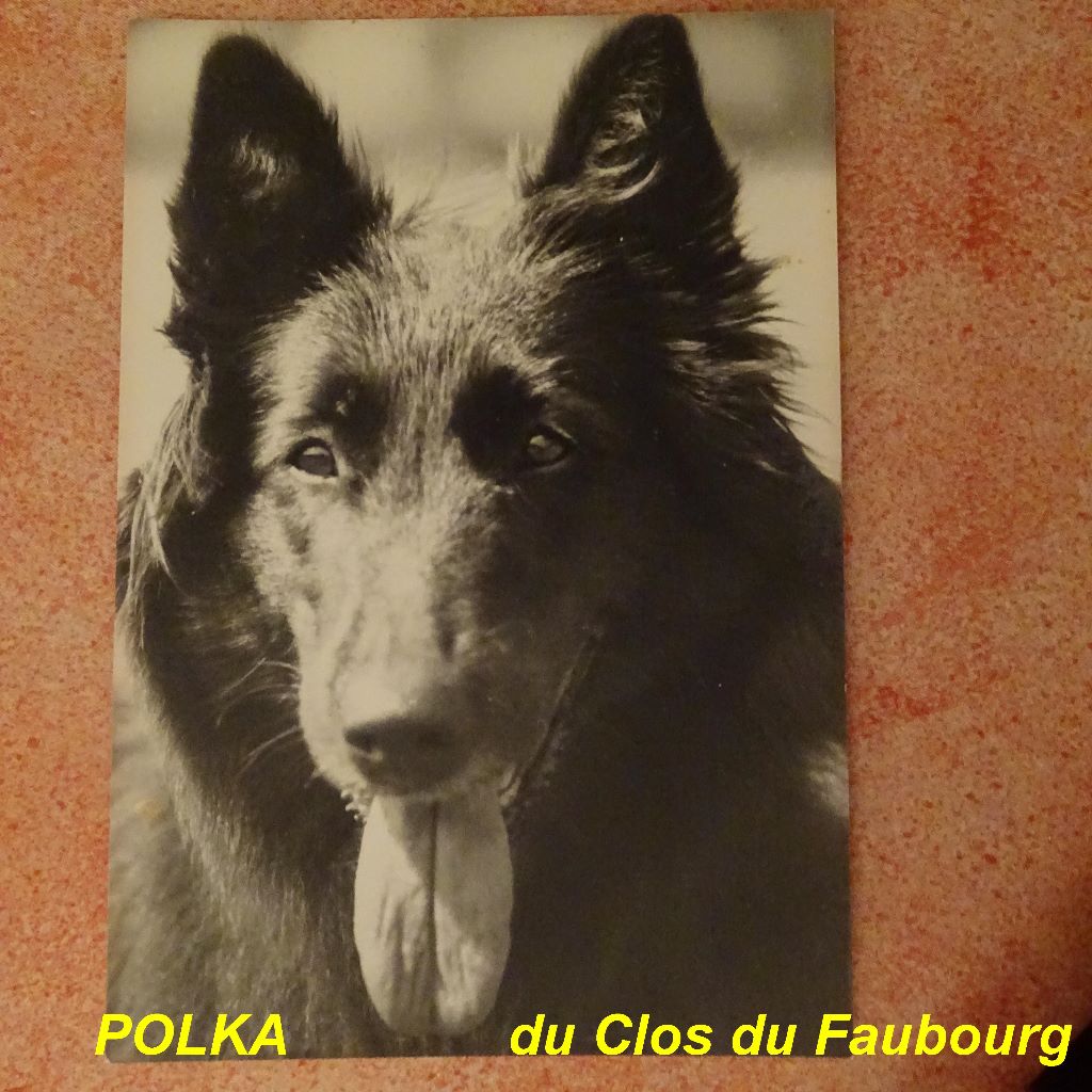 Polka Du clos du faubourg