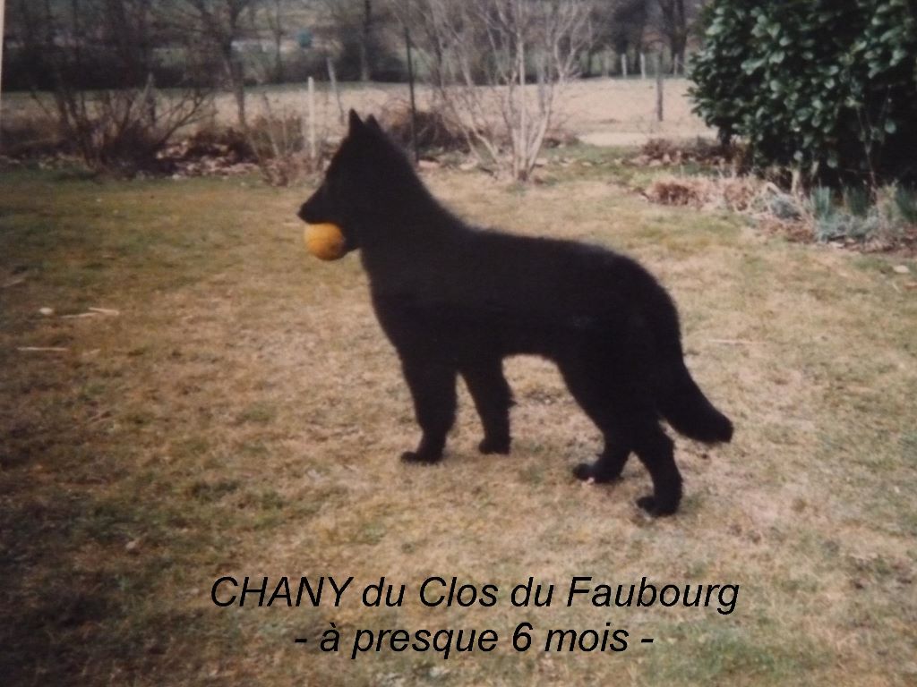 Chany Du clos du faubourg