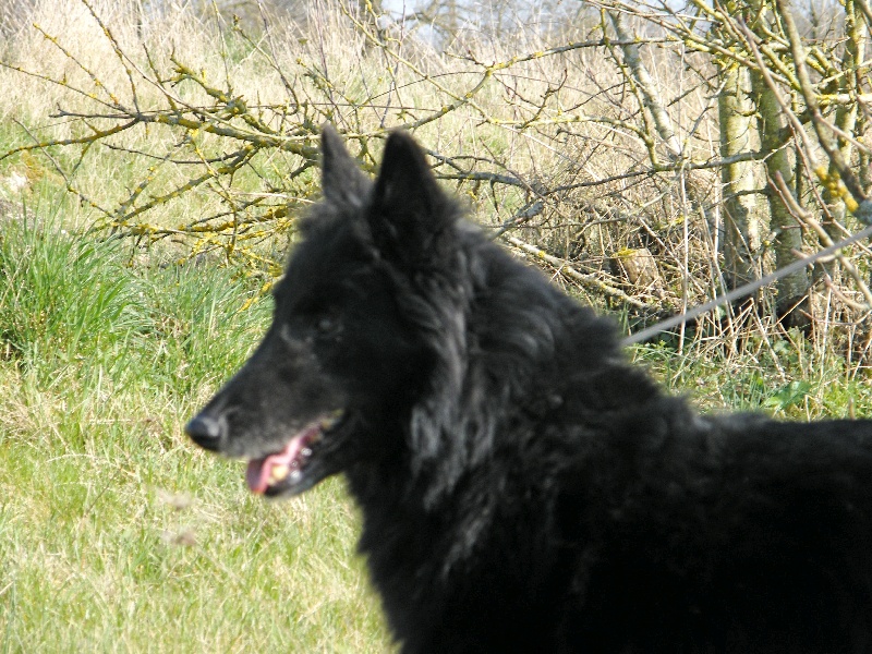 Romy Du clos du faubourg