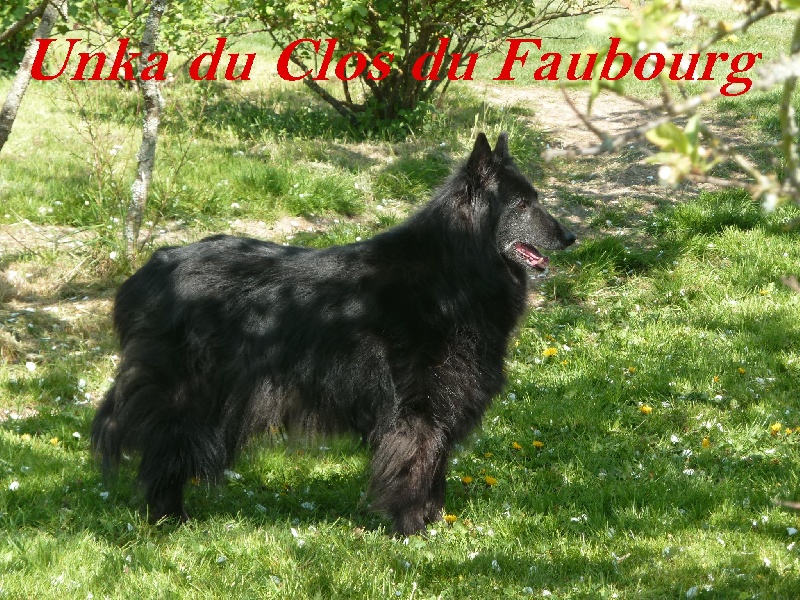 Unka Du clos du faubourg
