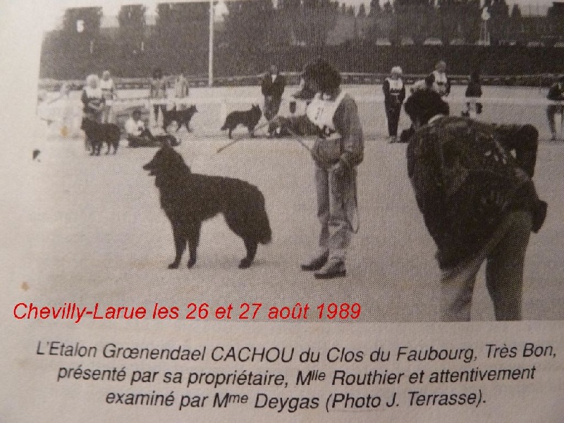 Cachou Du clos du faubourg