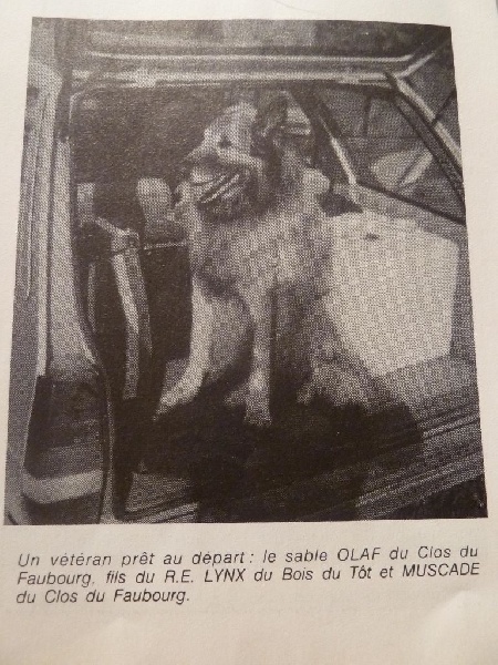 Olaf (tervueren) Du clos du faubourg