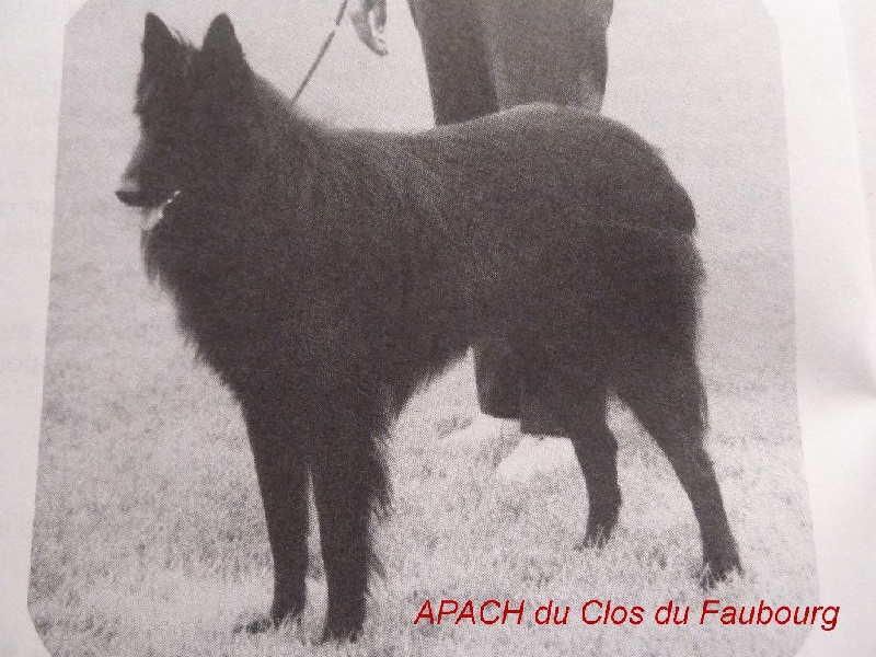 Apach Du clos du faubourg