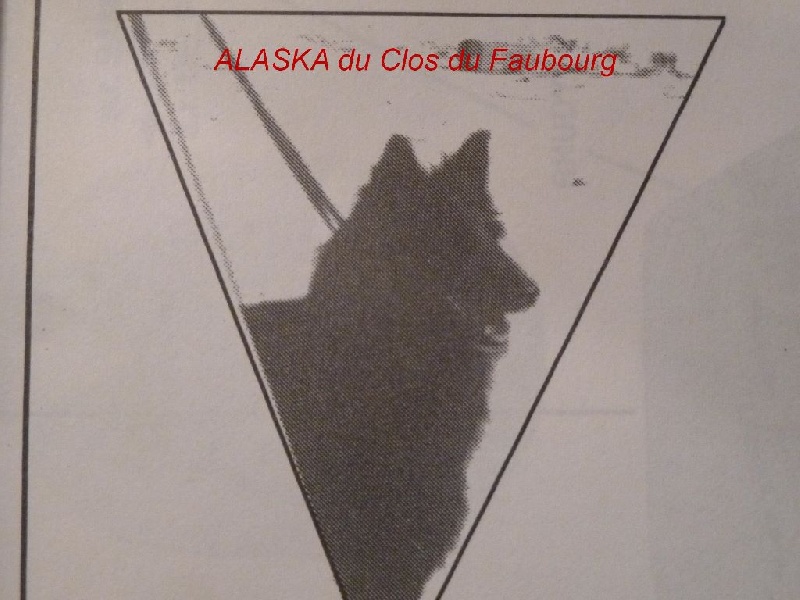Alaska Du clos du faubourg