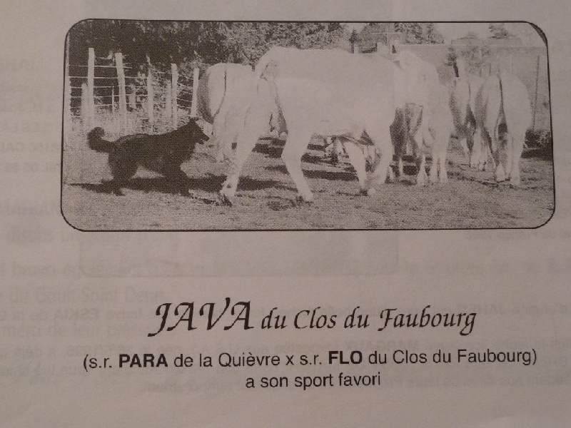 Java Du clos du faubourg