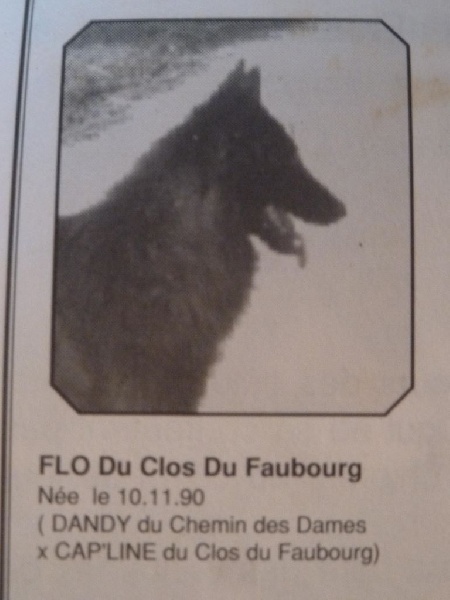 Flo Du clos du faubourg