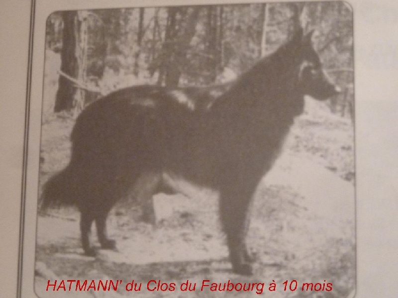 Hatmann' Du clos du faubourg