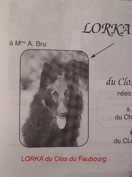 Lorka Du clos du faubourg