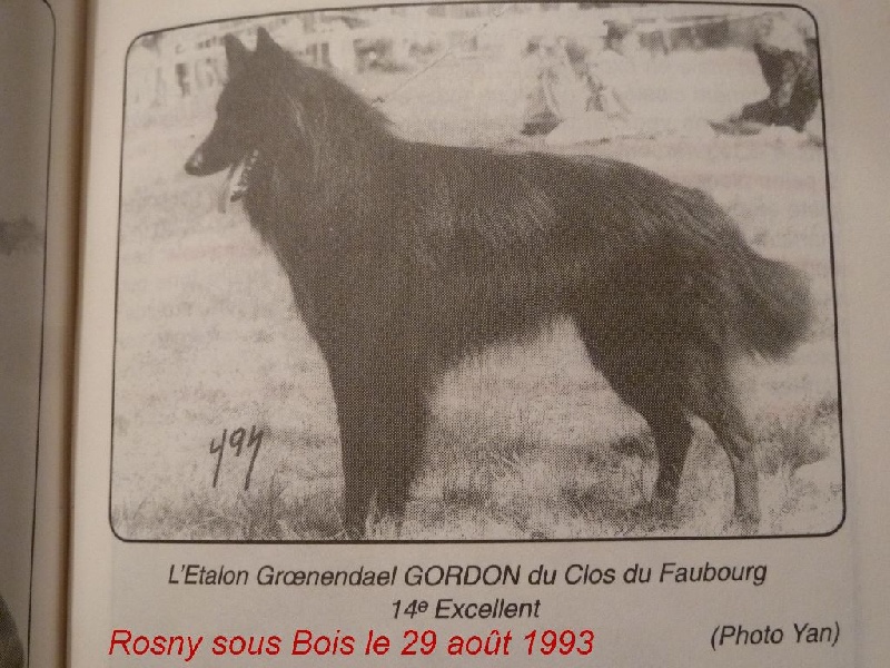 Gordon Du clos du faubourg