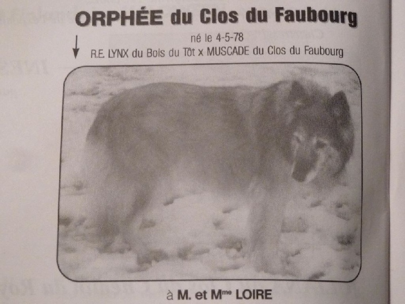 Orphée (tervueren) Du clos du faubourg