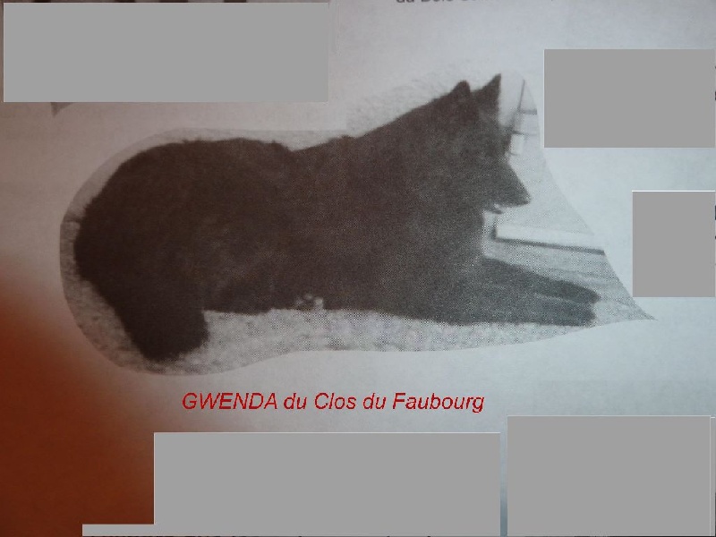 Gwenda Du clos du faubourg