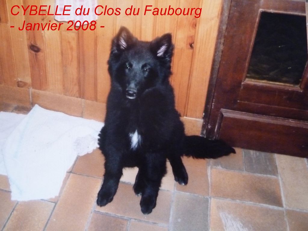Cybelle Du clos du faubourg