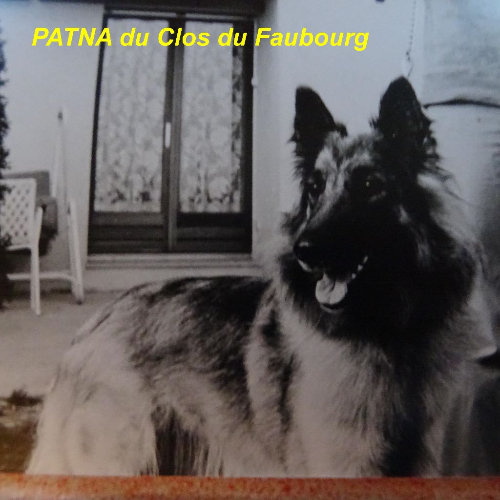 Patna Du clos du faubourg