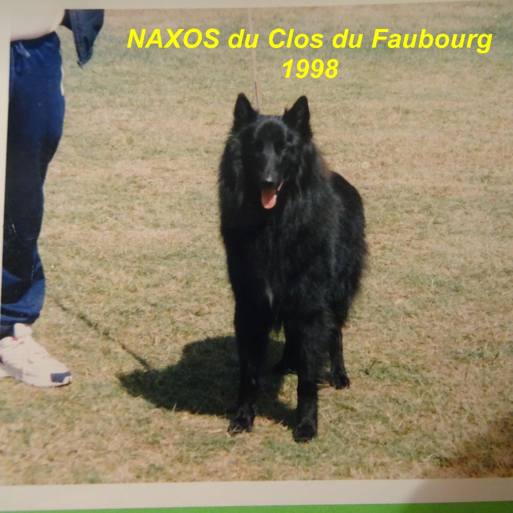 Naxos Du clos du faubourg