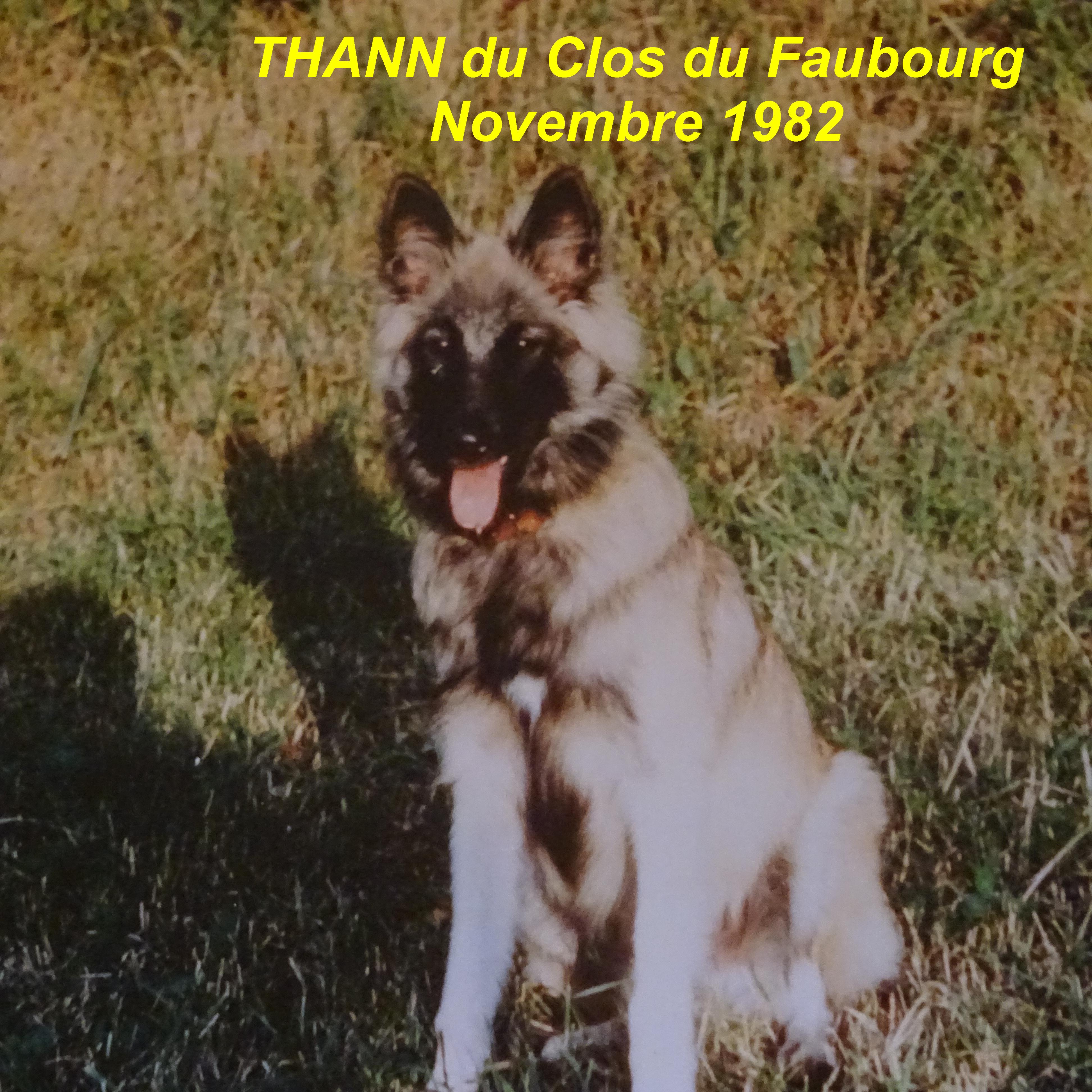 Thann Du clos du faubourg