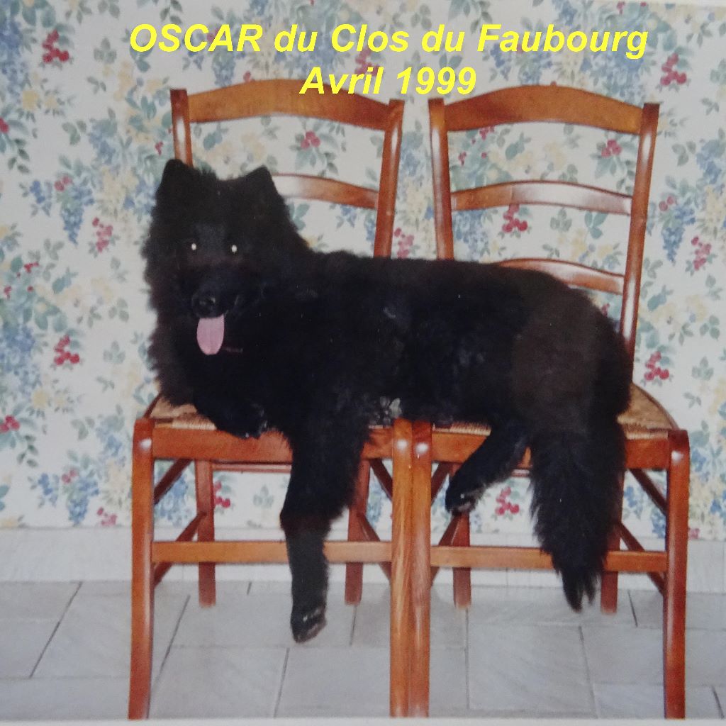Oscar Du clos du faubourg