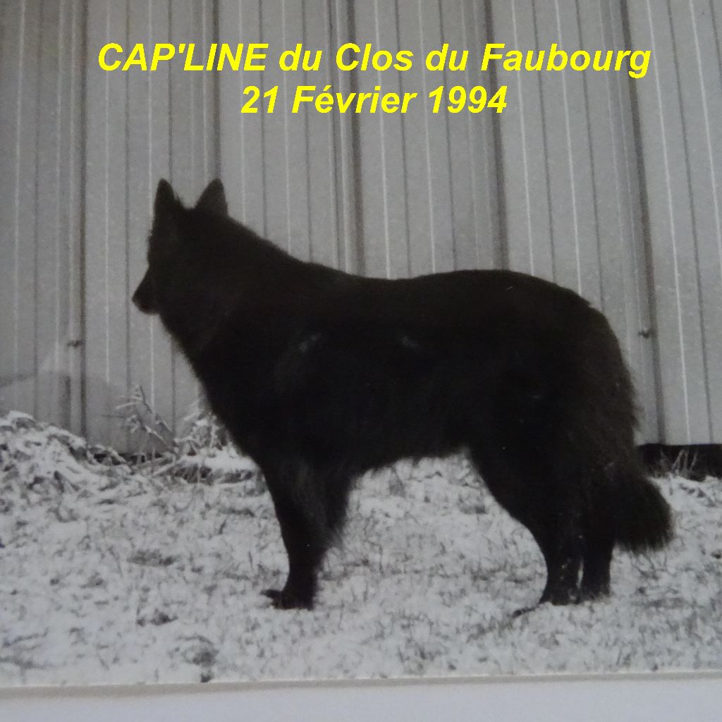 Cap'line Du clos du faubourg