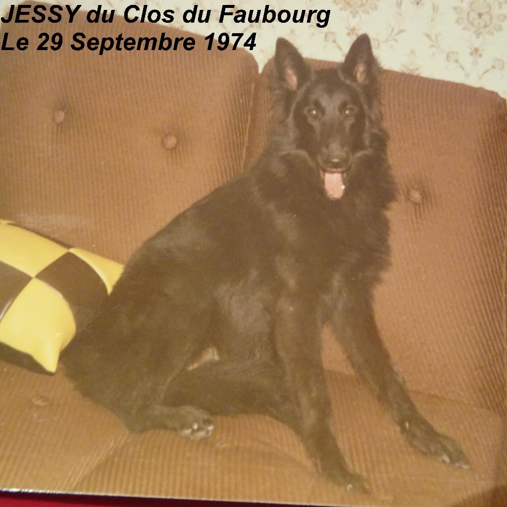 Jessy Du clos du faubourg