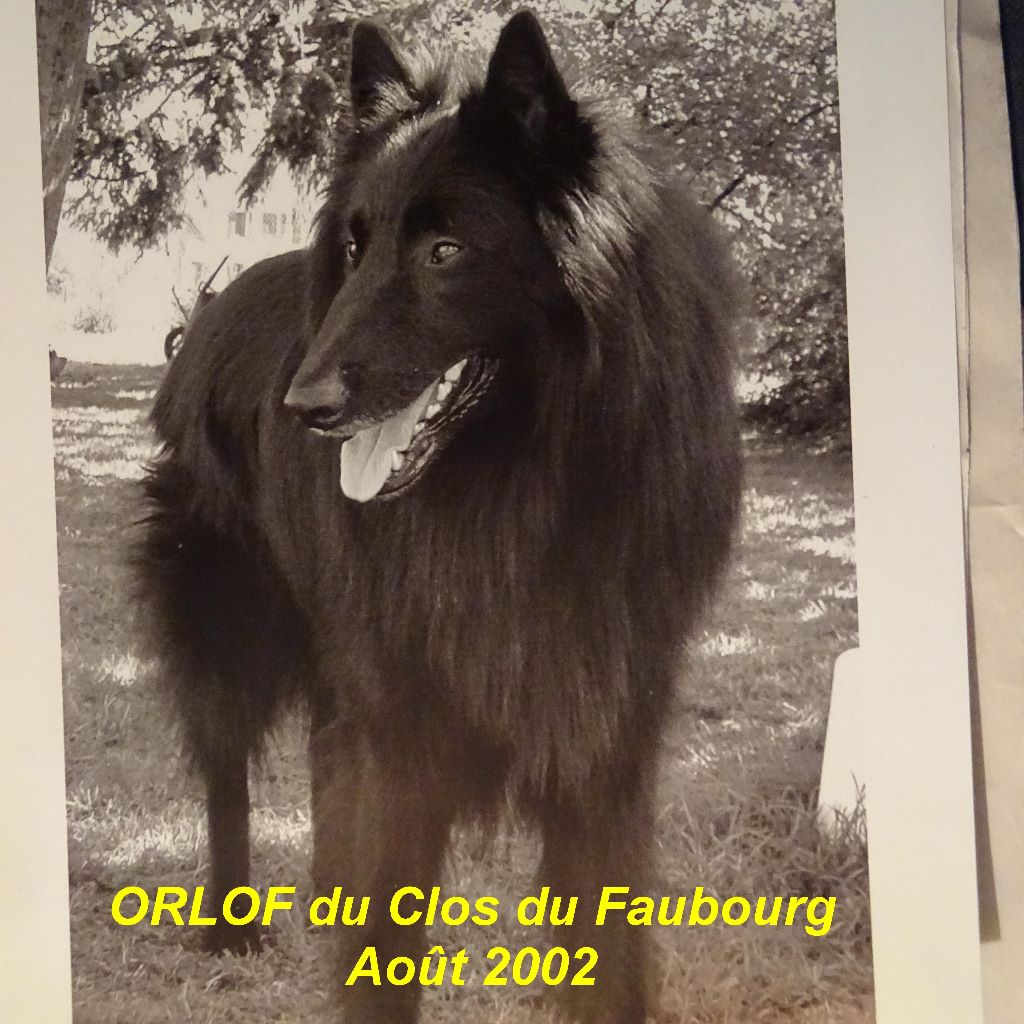 Orlof Du clos du faubourg