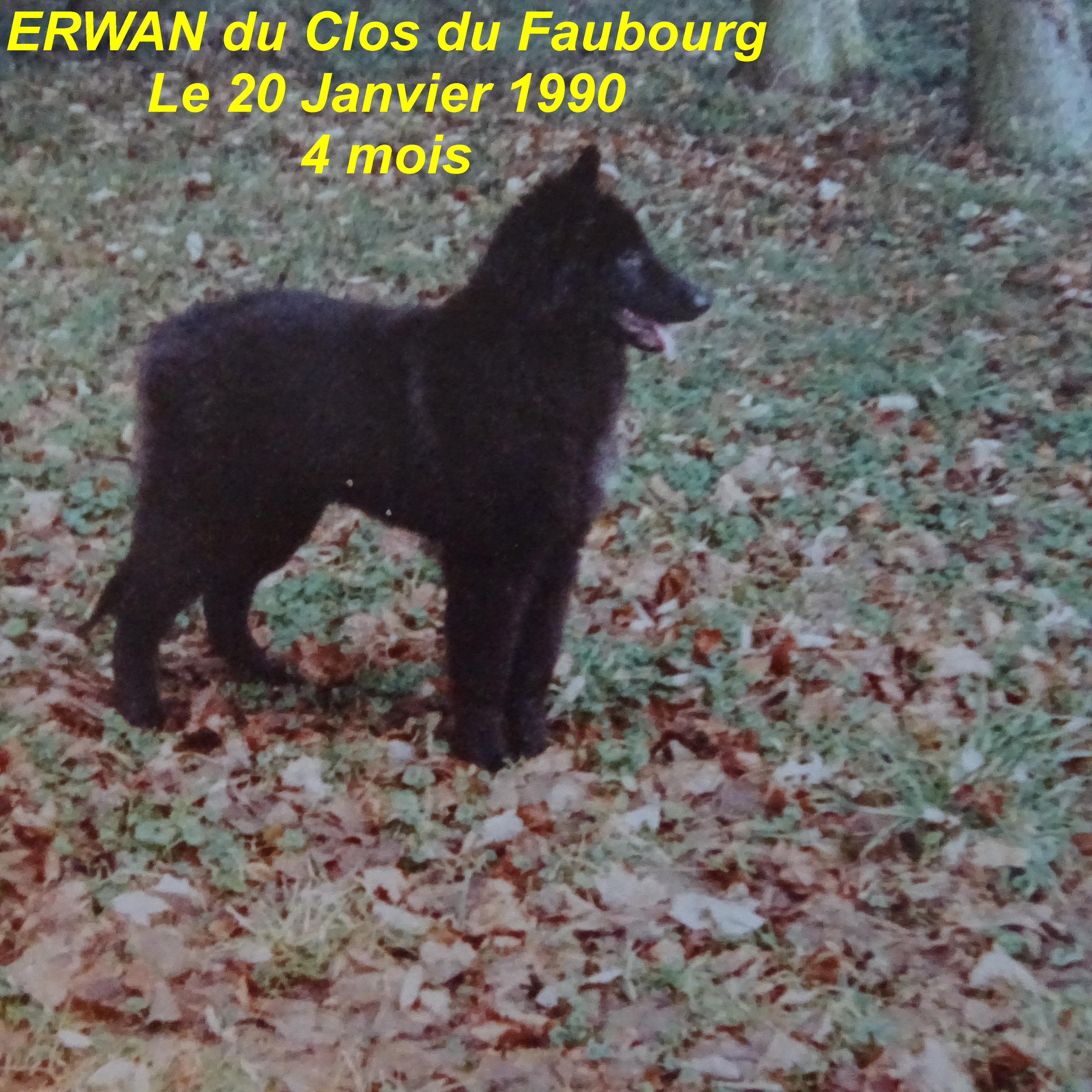 Erwan Du clos du faubourg