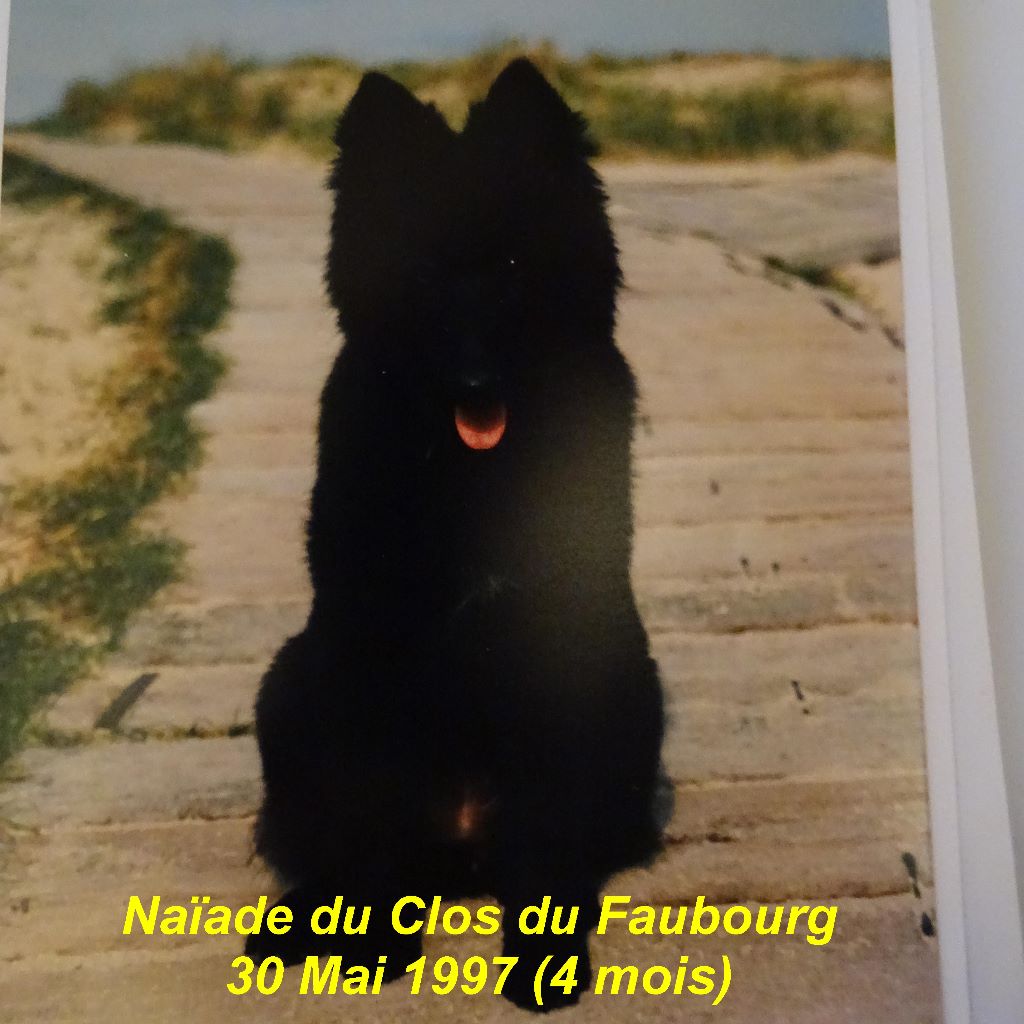 Naïade Du clos du faubourg