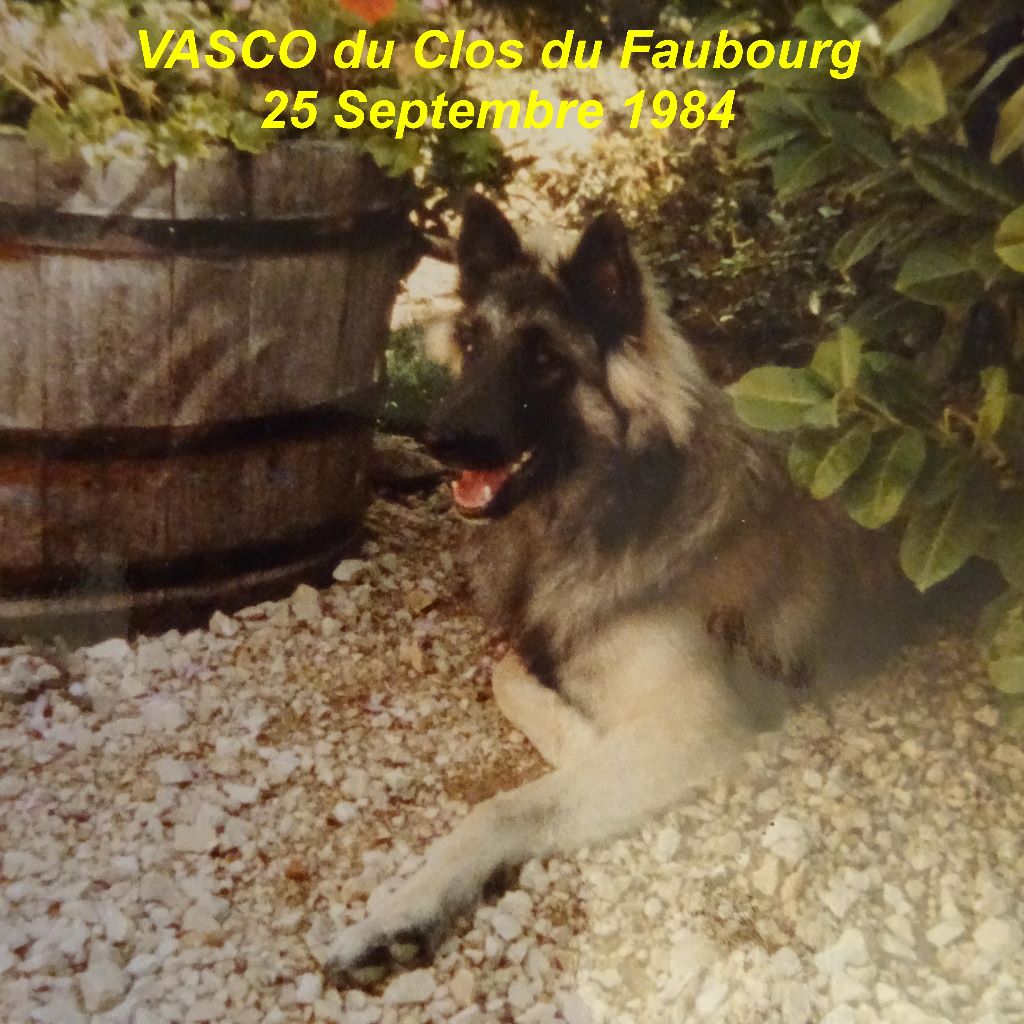 Vasco Du clos du faubourg