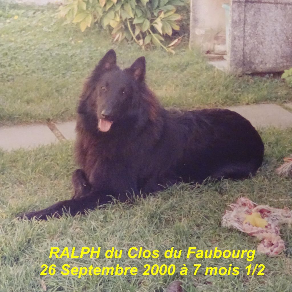 Ralph Du clos du faubourg