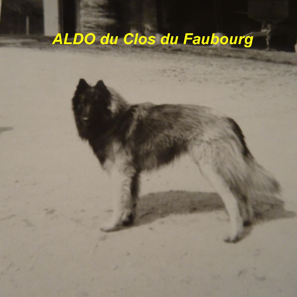 Aldo Du clos du faubourg
