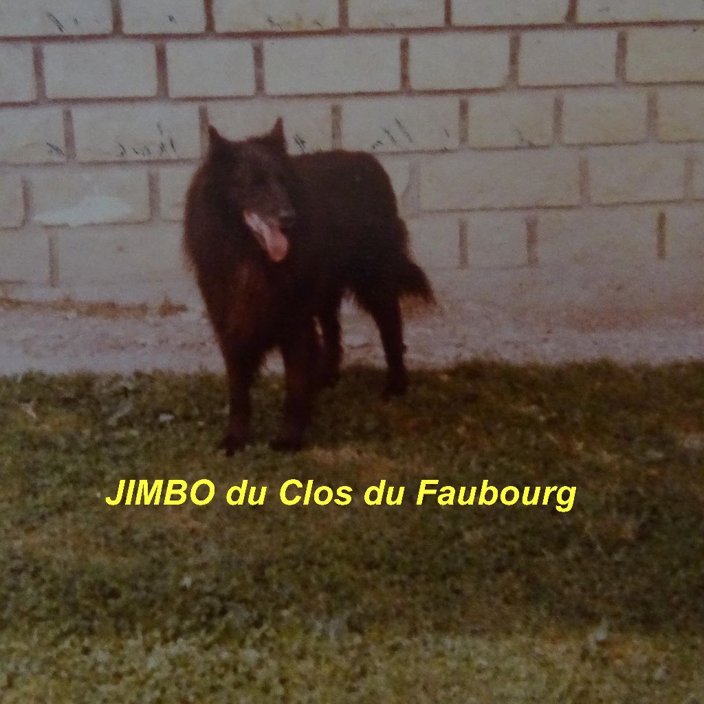 Jimbo Du clos du faubourg