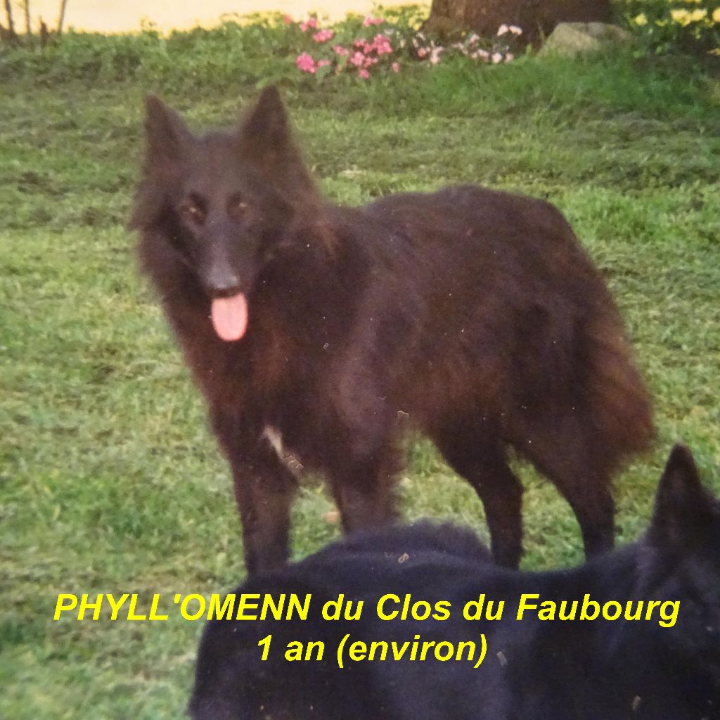Phyll'omenn Du clos du faubourg