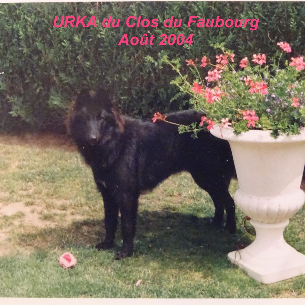 Urka Du clos du faubourg