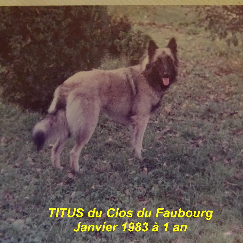 Titus Du clos du faubourg