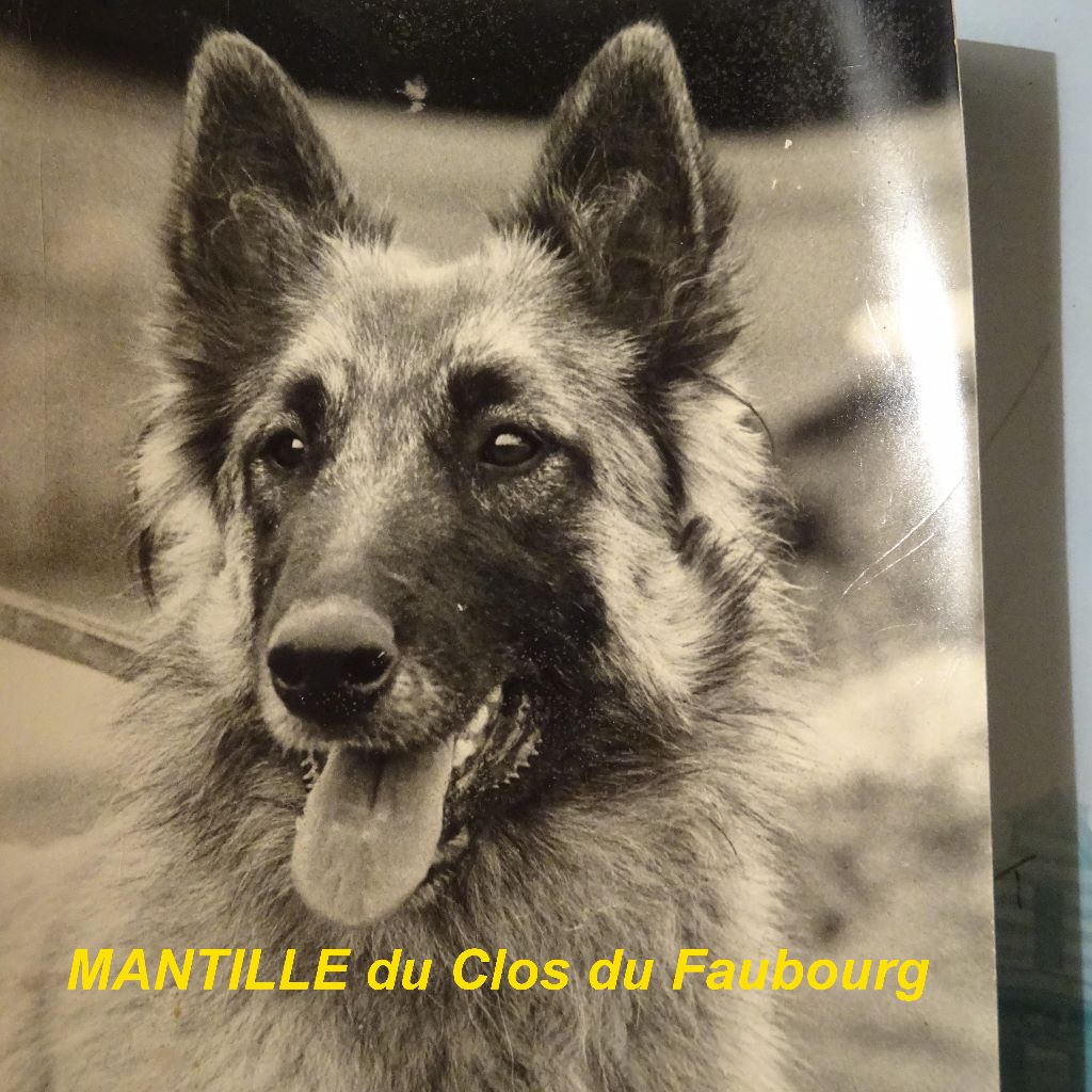 Mantille Du clos du faubourg
