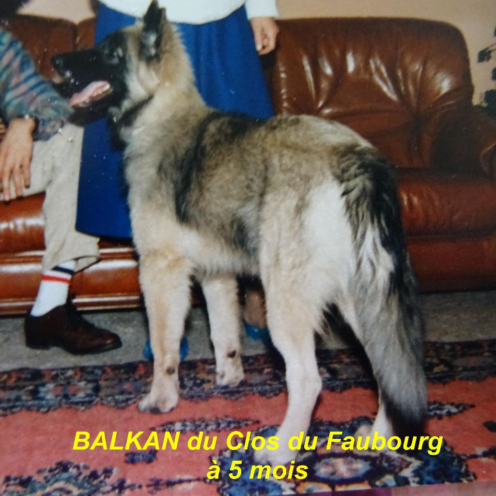 Balkan Du clos du faubourg