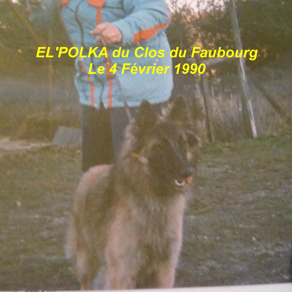 El'polka Du clos du faubourg