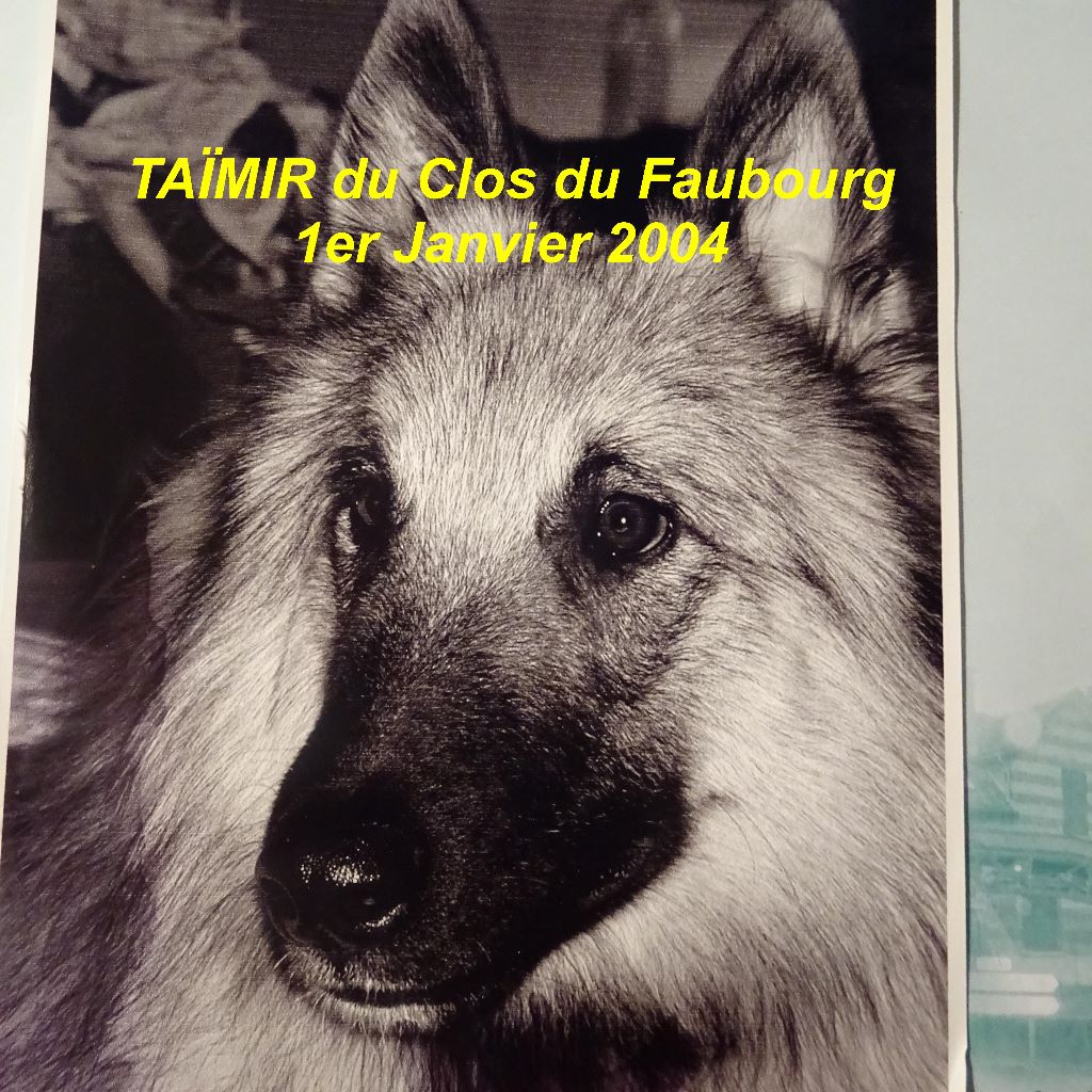 Taïmir Du clos du faubourg
