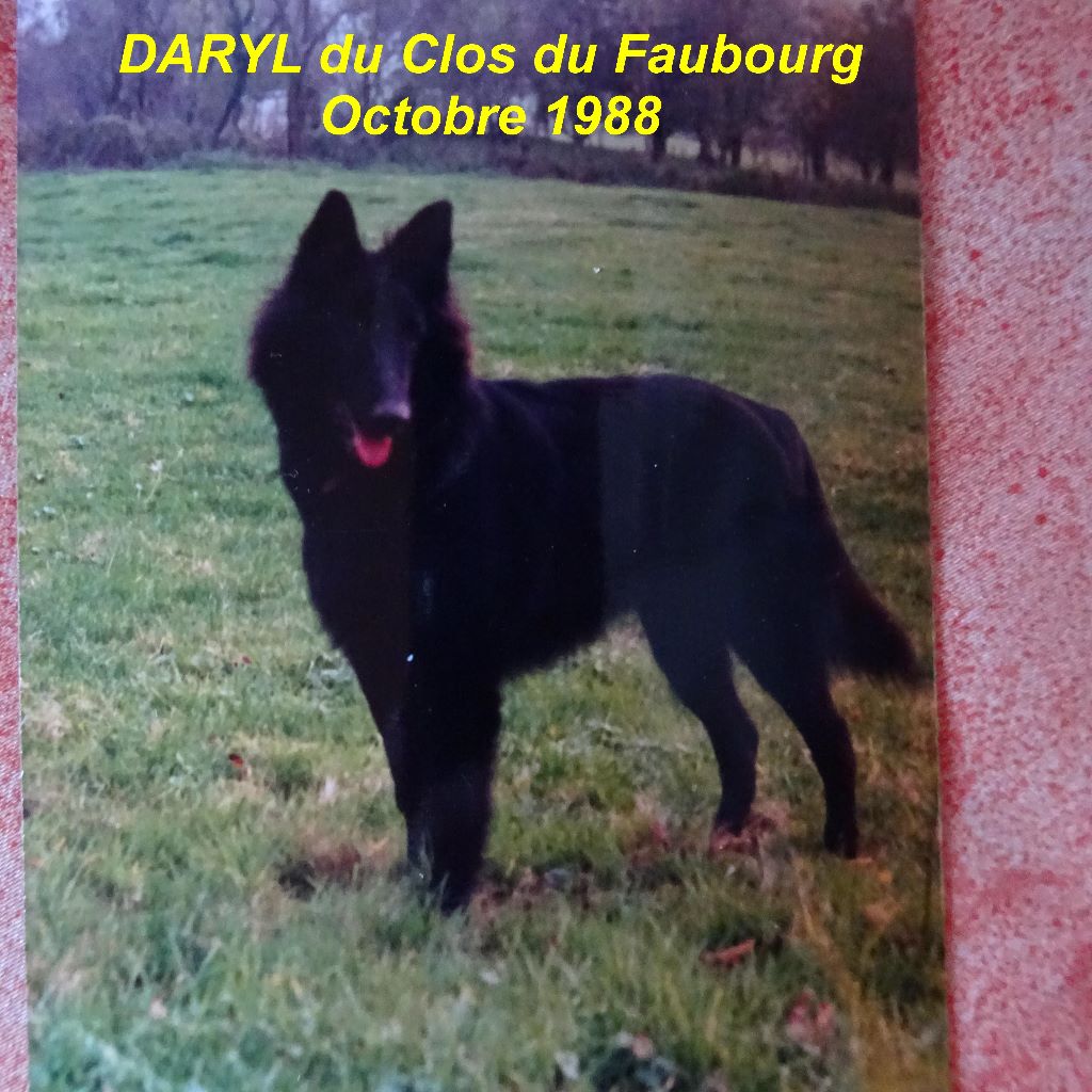 Darry (dit daryl) Du clos du faubourg