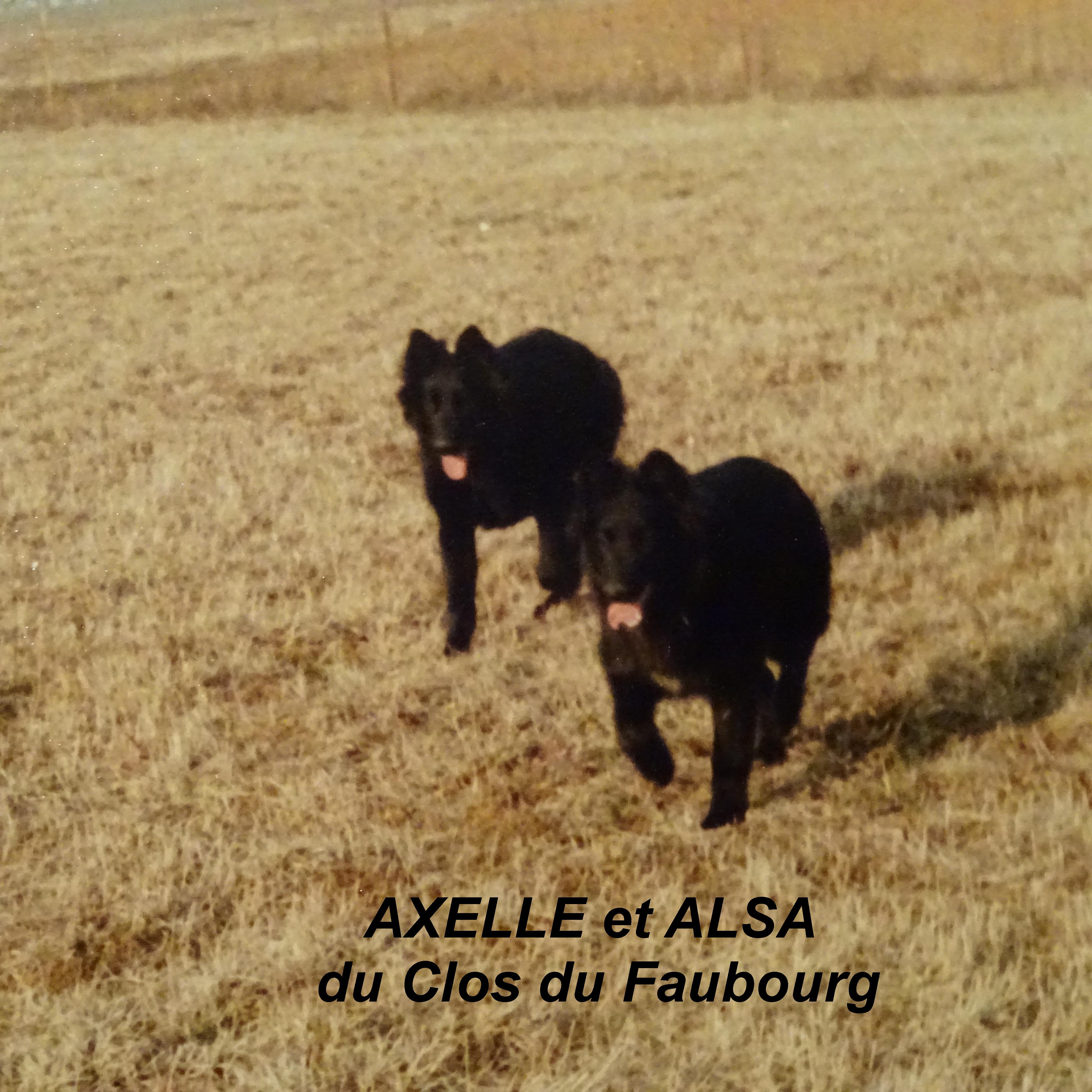 Axelle Du clos du faubourg