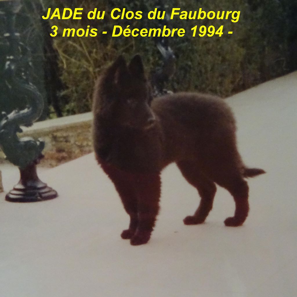 Jade Du clos du faubourg