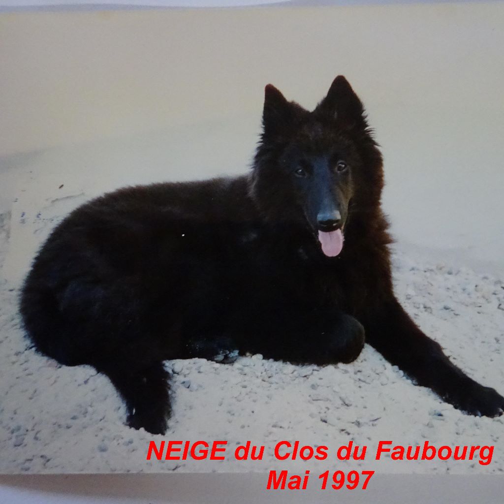 Neige (1997) Du clos du faubourg