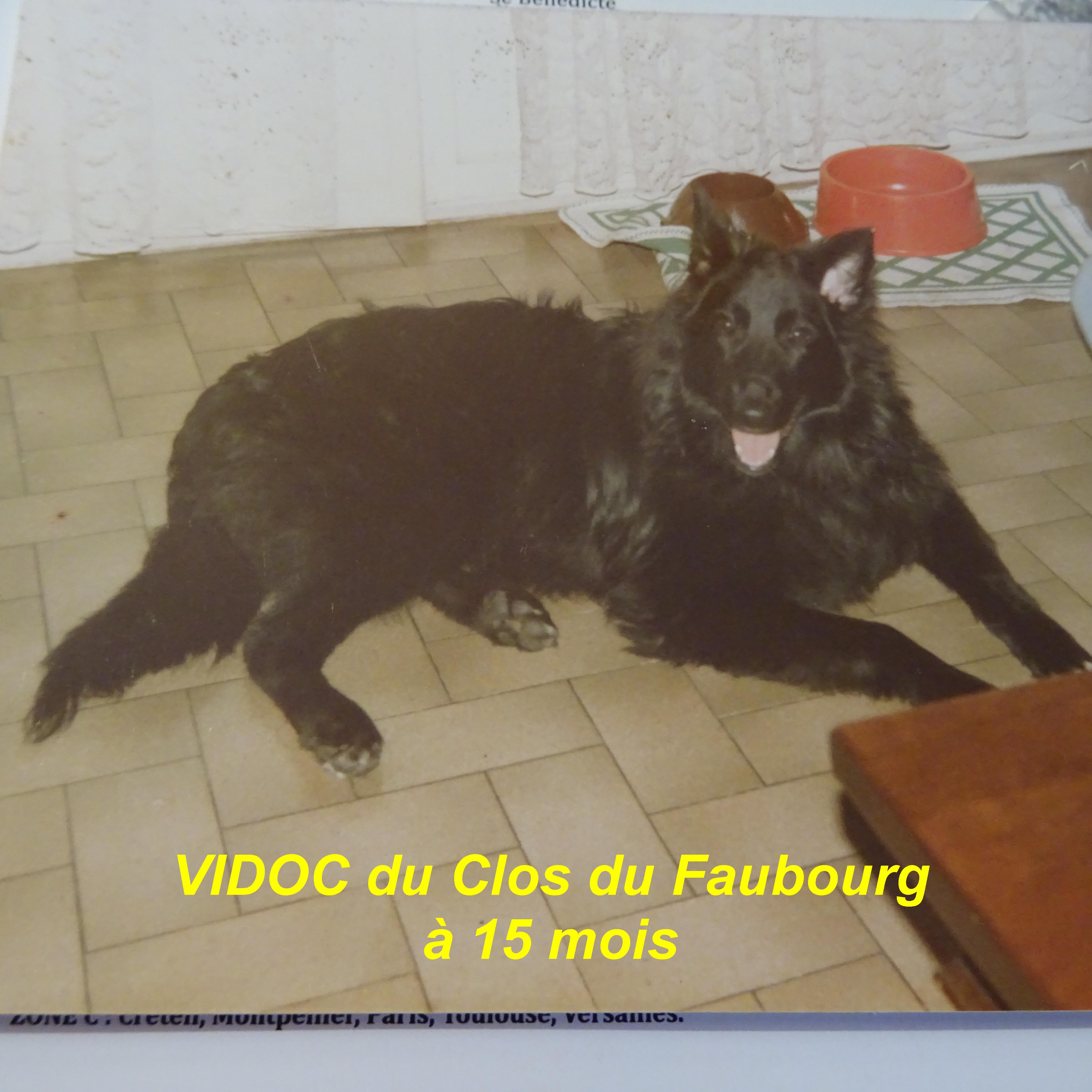 Vidoc Du clos du faubourg