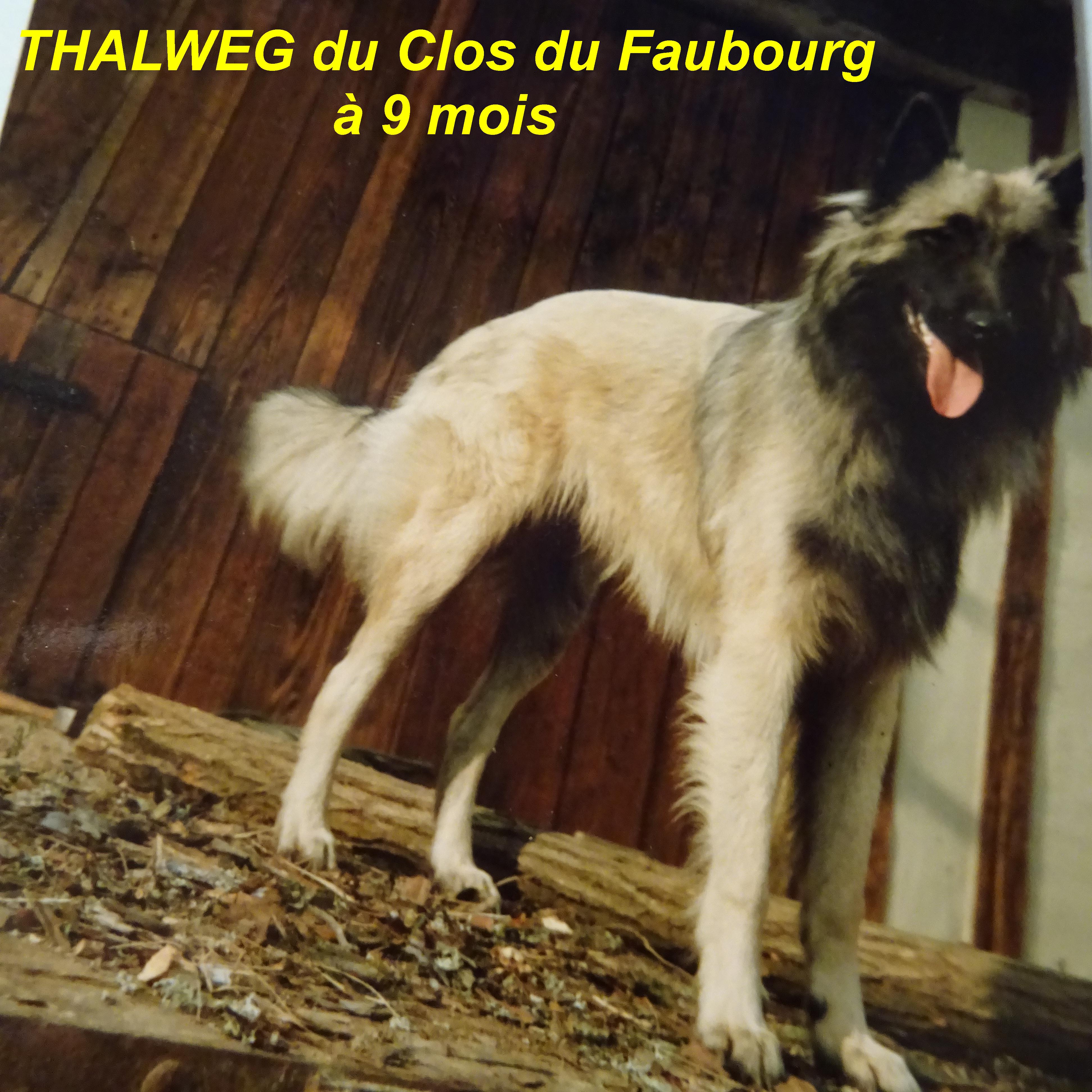 Thalweg Du clos du faubourg